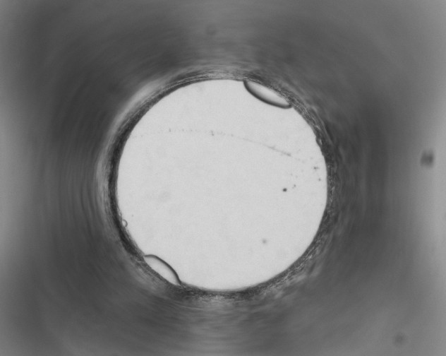 X0000116510197201001201452