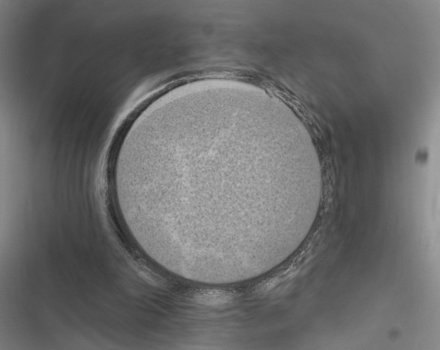 X0000116510198201001201452