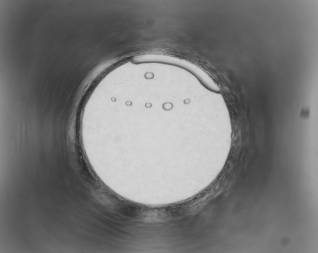 X0000116510200201001201452