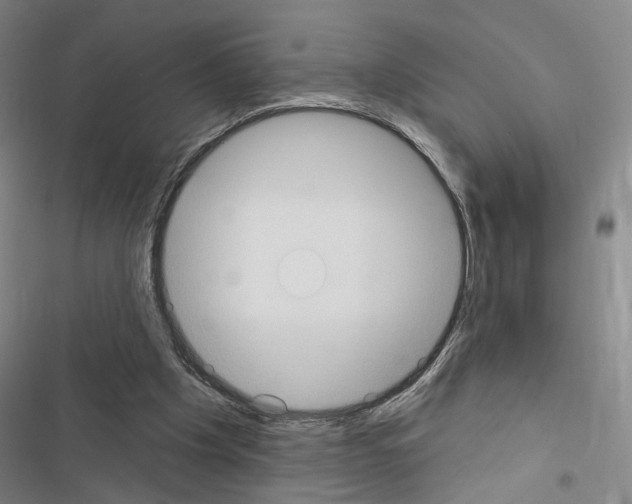 X0000116510201201001201452