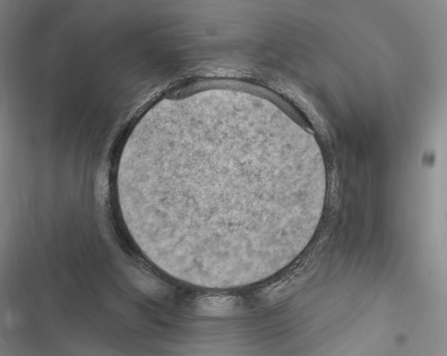 X0000116510202201001201452