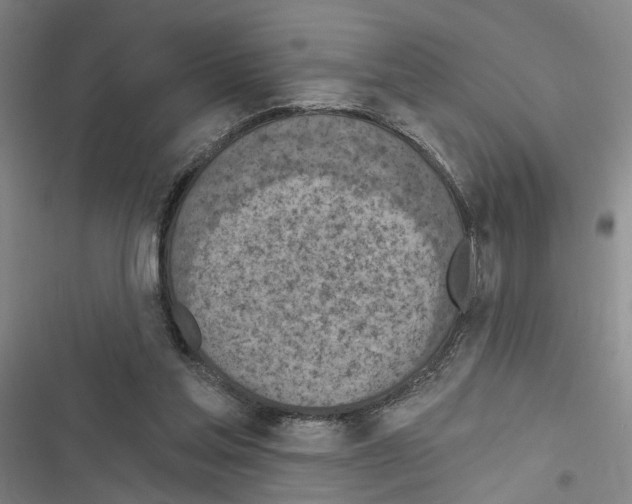 X0000116510205201001201452