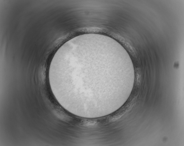 X0000116510206201001201452