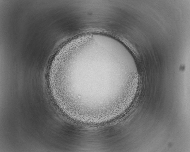 X0000116510207201001201452
