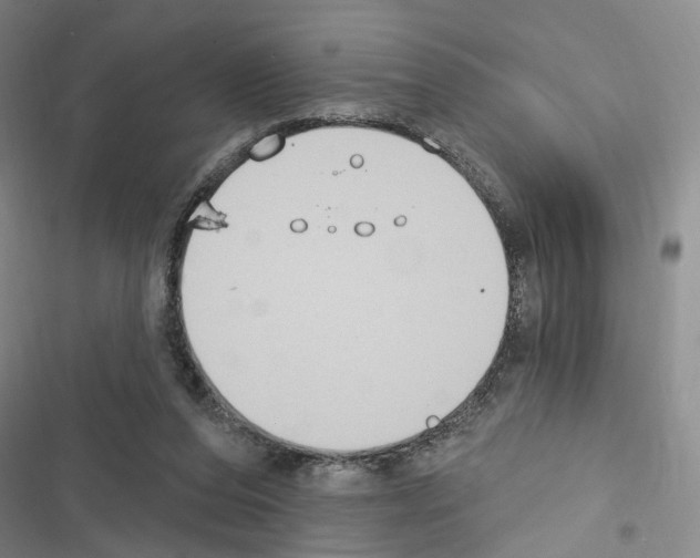 X0000116510208201001201452