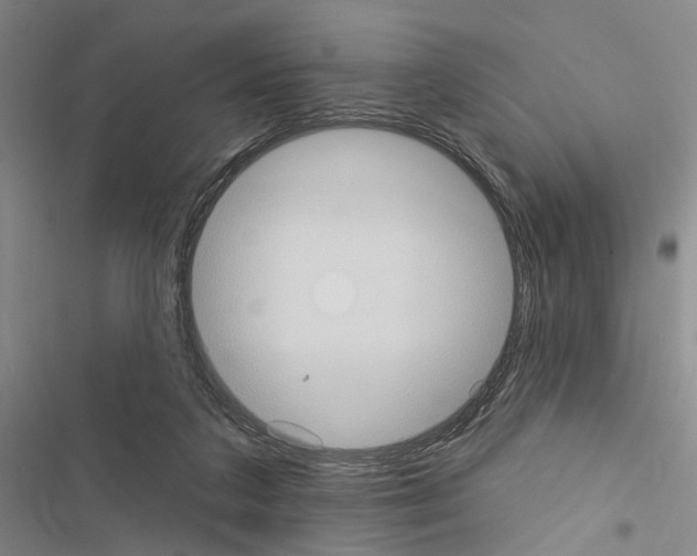 X0000116510211201001201452