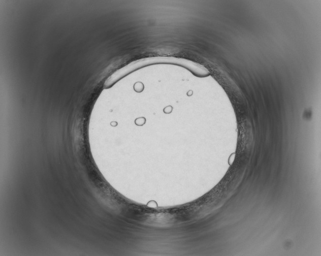 X0000116510212201001201452