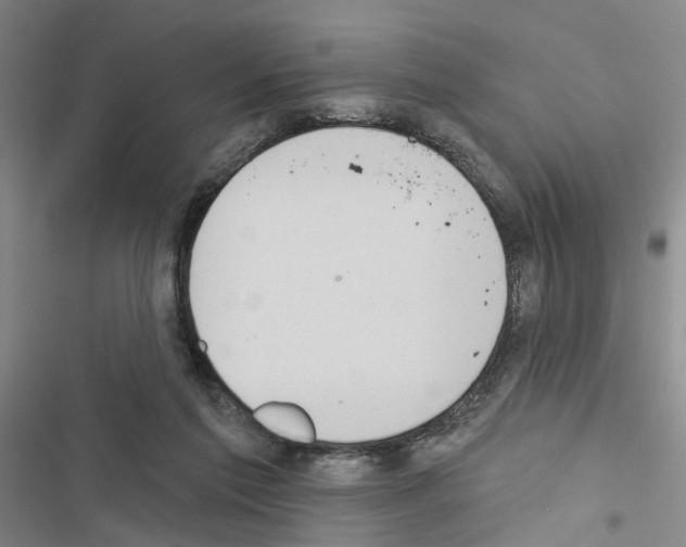 X0000116510213201001201452