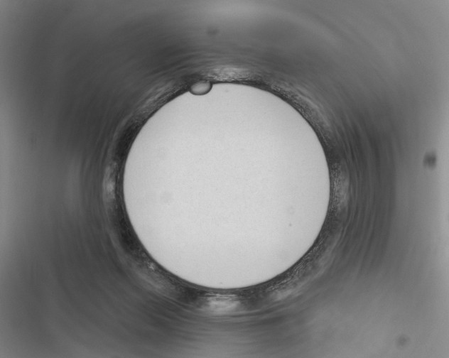X0000116510214201001201452