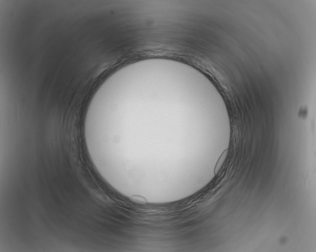 X0000116510215201001201452