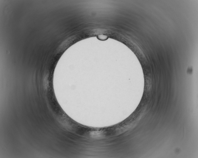 X0000116510216201001201452