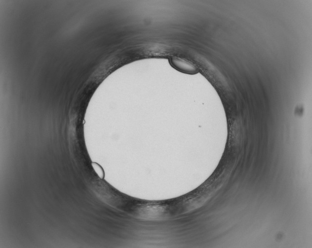 X0000116510217201001201452