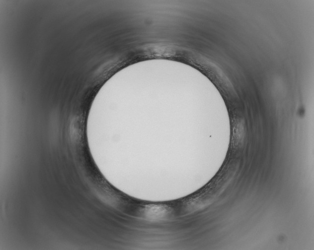 X0000116510218201001201452