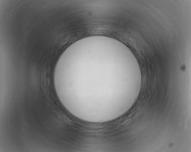 X0000116510219201001201452