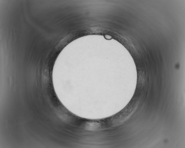 X0000116510220201001201452