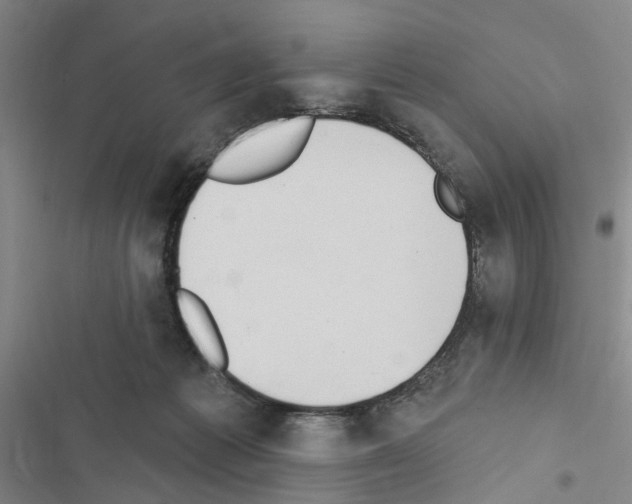 X0000116510221201001201452