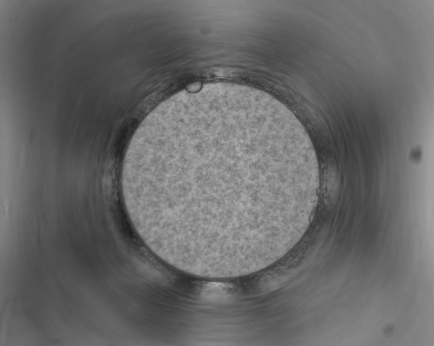 X0000116510222201001201452