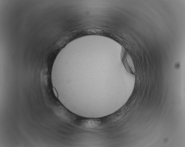 X0000116510223201001201452