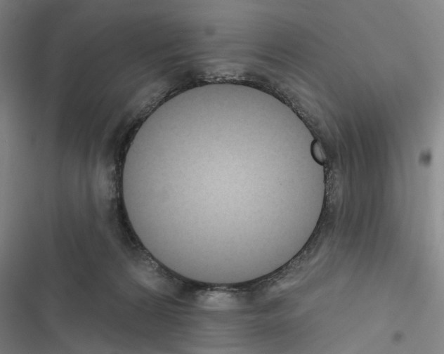 X0000116510224201001201452