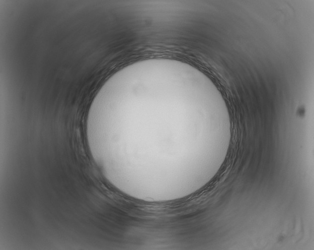 X0000116510225201001201452