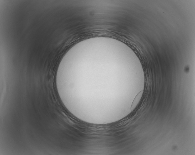 X0000116510227201001201452