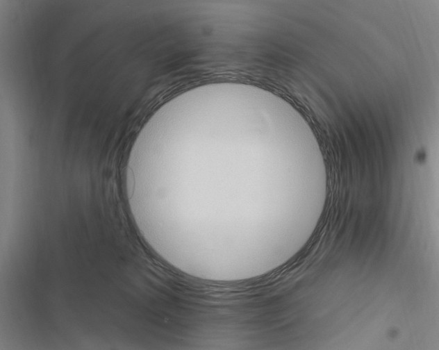 X0000116510229201001201452