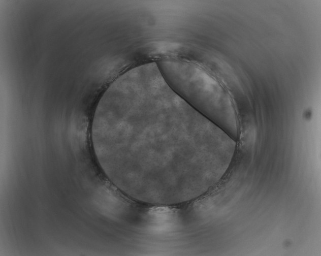 X0000116510231201001201452