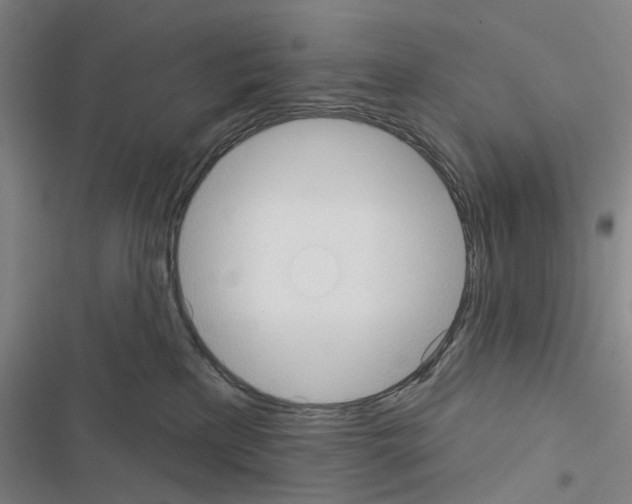 X0000116510233201001201452