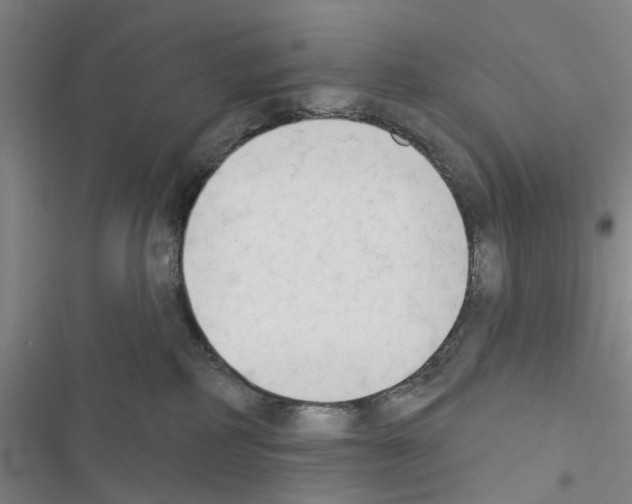 X0000116510234201001201452
