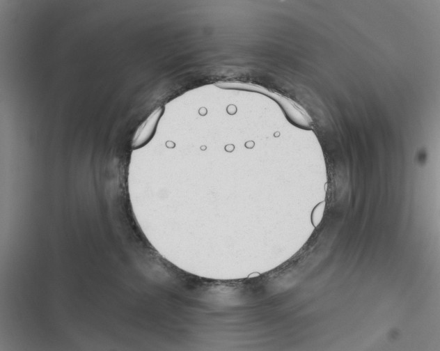 X0000116510236201001201451
