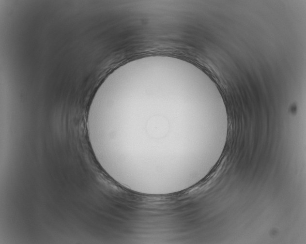 X0000116510237201001201451