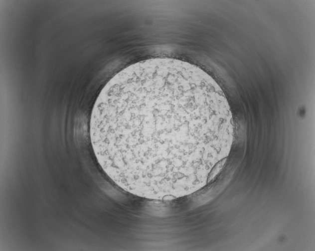 X0000116510238201001201451