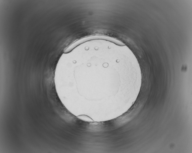 X0000116510240201001201451