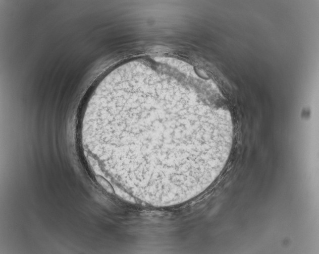 X0000116510242201001201451