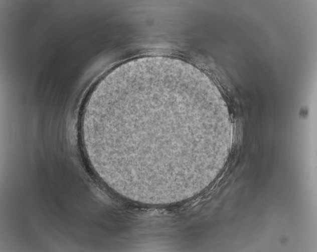 X0000116510243201001201451