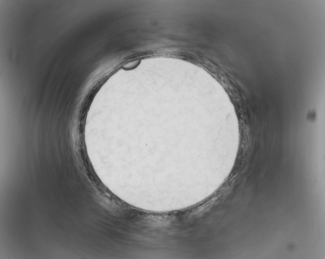 X0000116510245201001201451