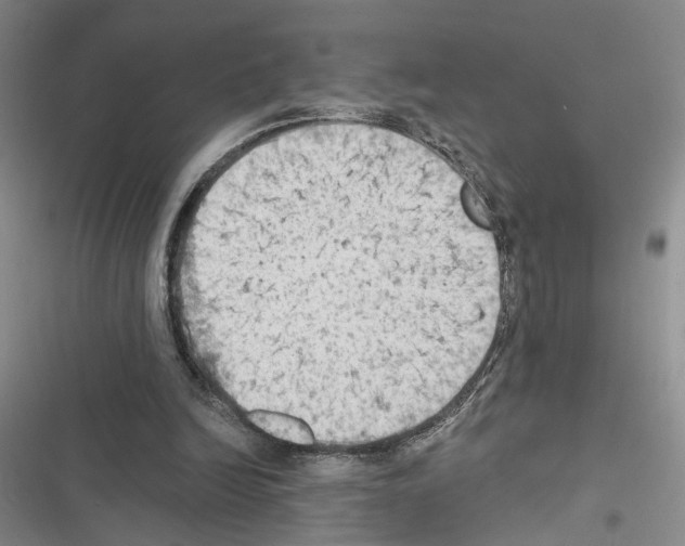 X0000116510246201001201451