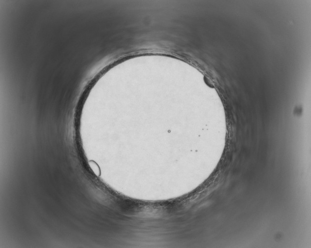 X0000116510248201001201451