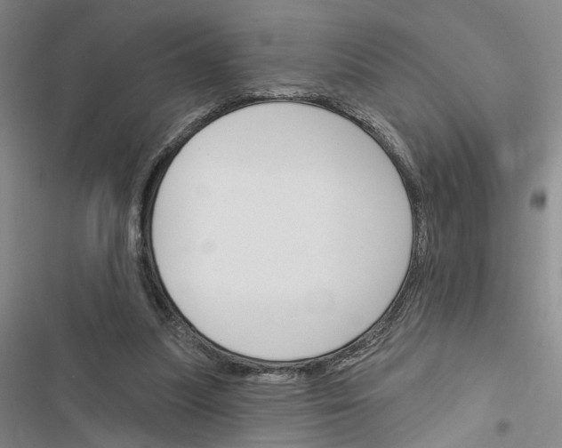 X0000116510251201001201451