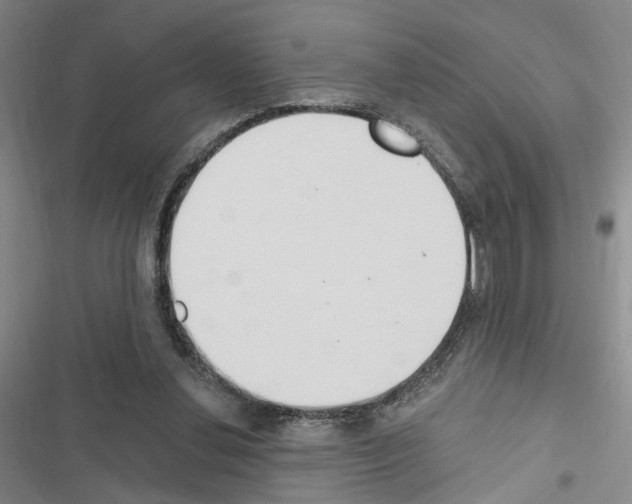 X0000116510252201001201451