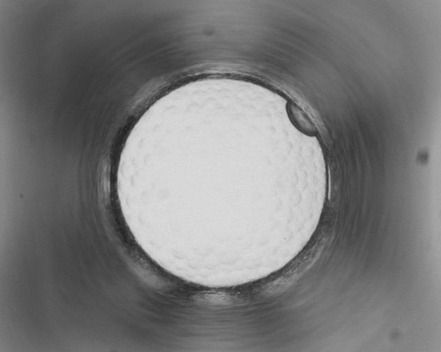 X0000116510253201001201451