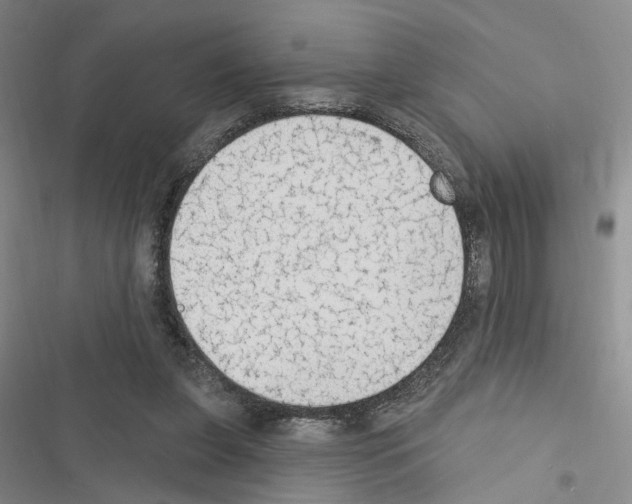 X0000116510255201001201451