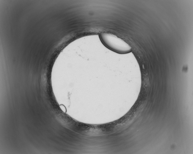 X0000116510256201001201451