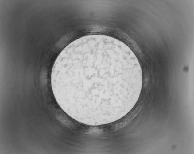 X0000116510257201001201451
