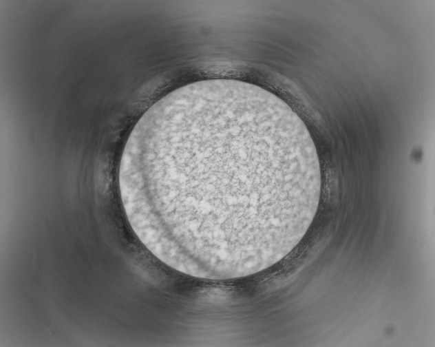 X0000116510259201001201451