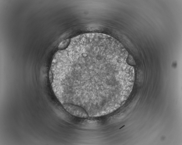 X0000116510260201001201451