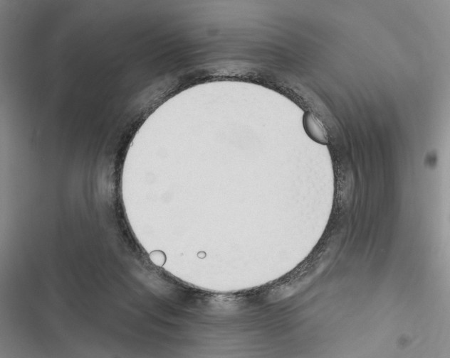 X0000116510261201001201451