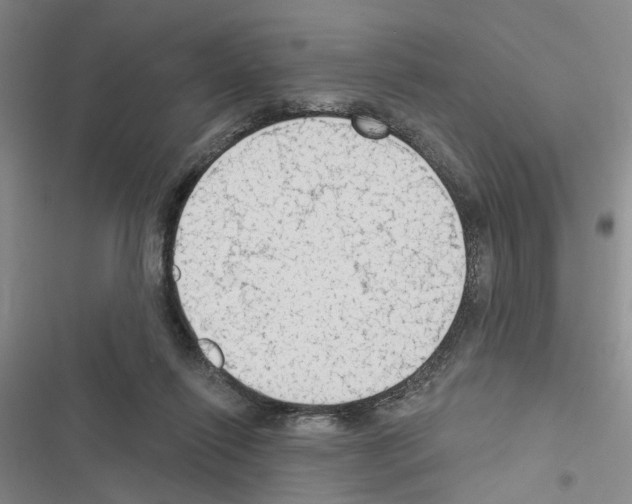X0000116510262201001201451