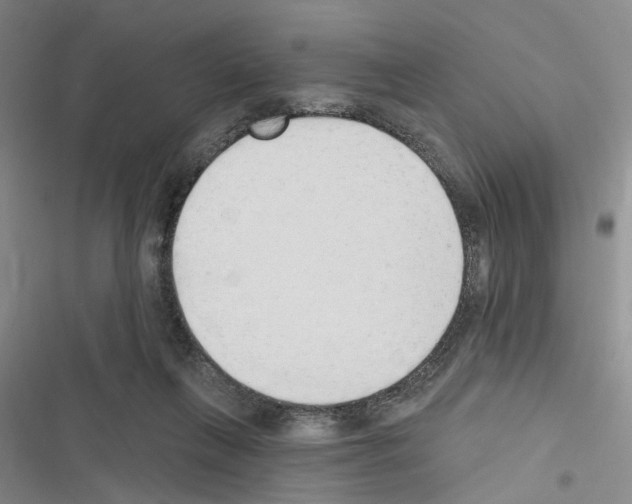 X0000116510263201001201451