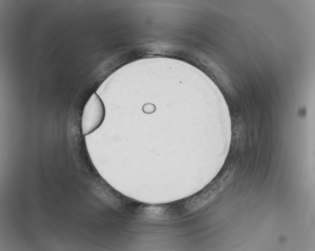 X0000116510265201001201451